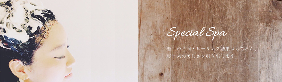 Special Spa(スペシャルスパ)